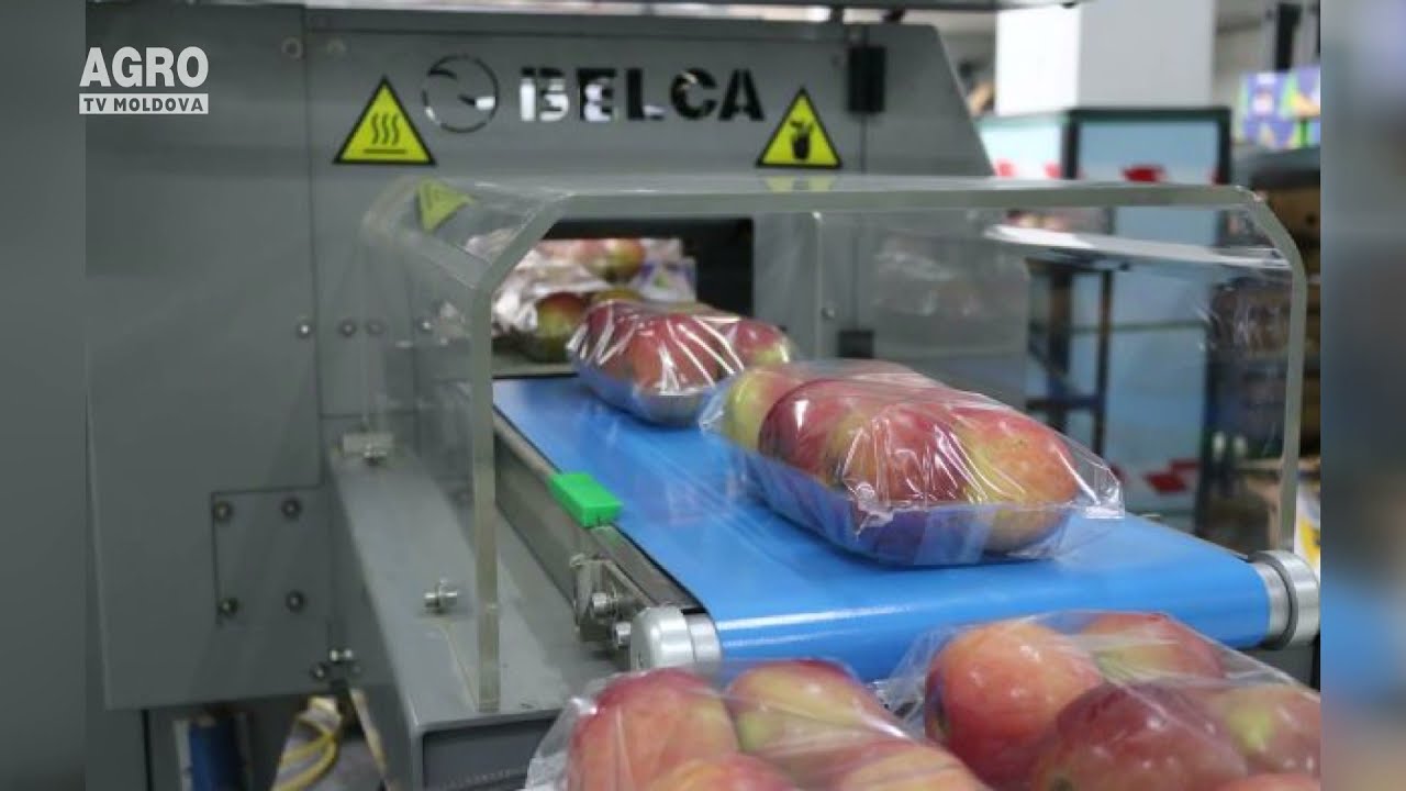 Primul echipament de ambalare a fructelor de tip flow-pack – AGRO TV News
