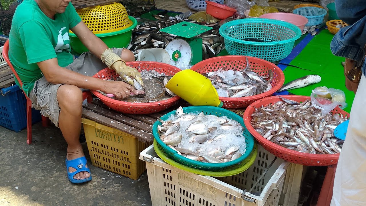 AMAZING! CLEANING FISHES, 30KG, Cambodia Fish, Bouegchhouk Market, Battambang #aseanfish 