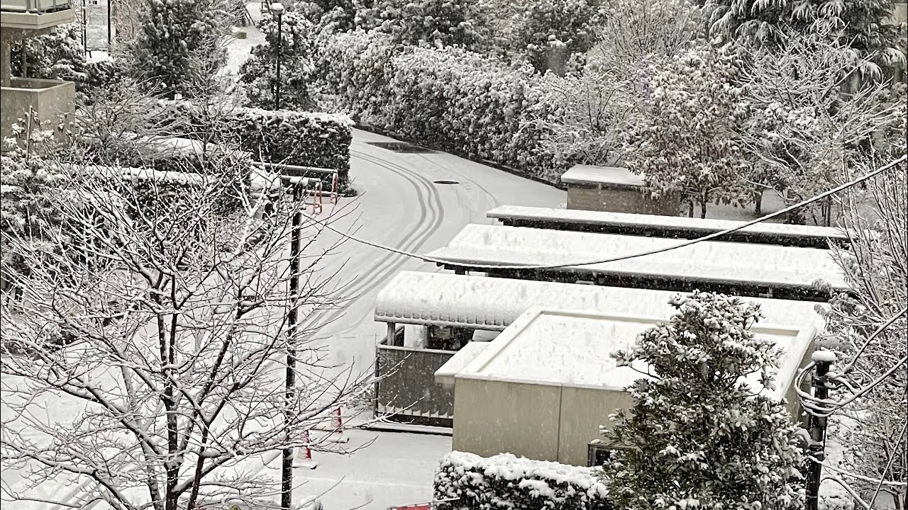 Heavy snowfall in Tokyo.