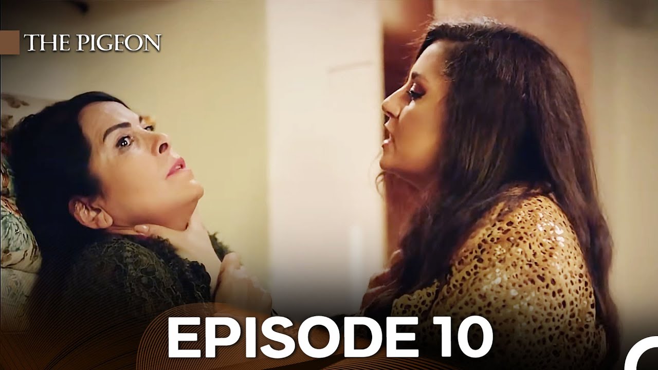 The Pigeon Episode 10  (English Subtitles)