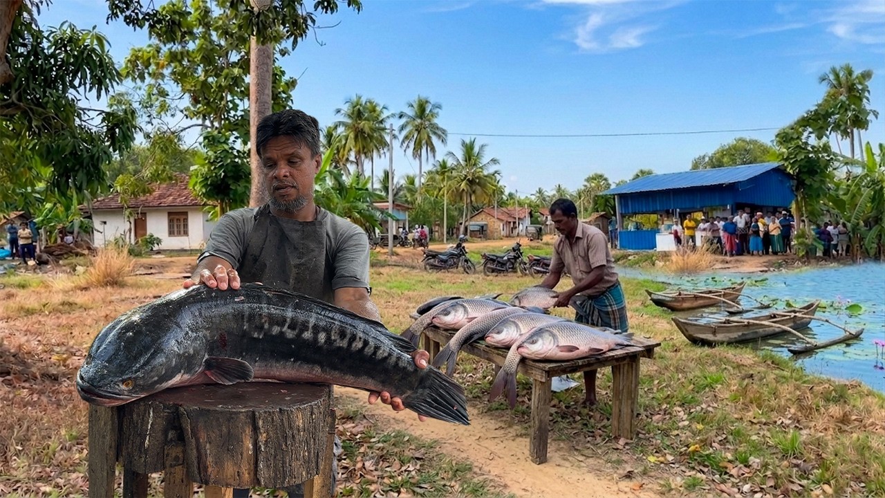 Cutting Sri Lanka&rsquo;s Biggest Giant Snakehead Ever Caugh|26 LBS Monster |The Whole Village is SHOCKED