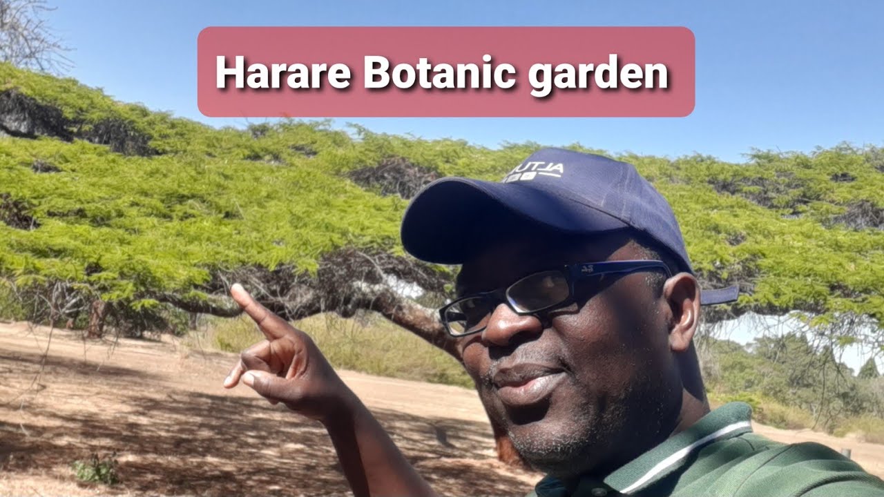 National Botanical Garden in Harare Zimbabwe #zimbabwe#harare #botanical