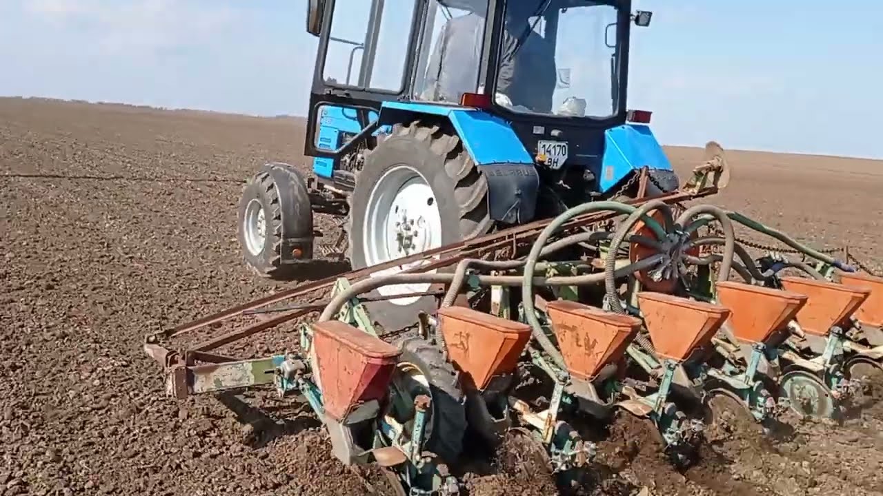 Начинаем сеять подсолнечник 🌻🌻🌻