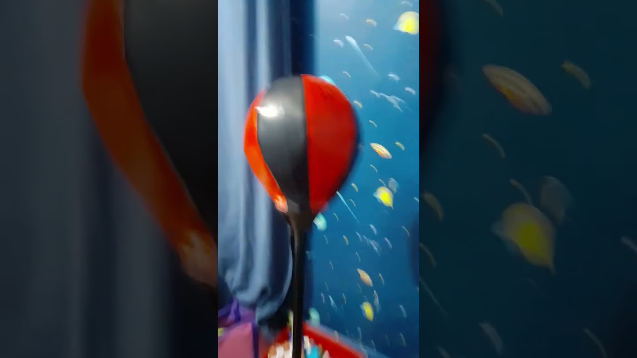 25 de junio de 2023
