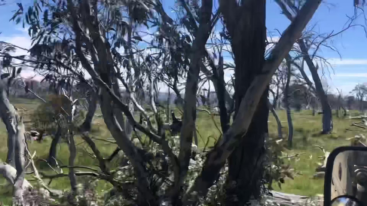 Mayford Track Victorian High Country 3.12.20