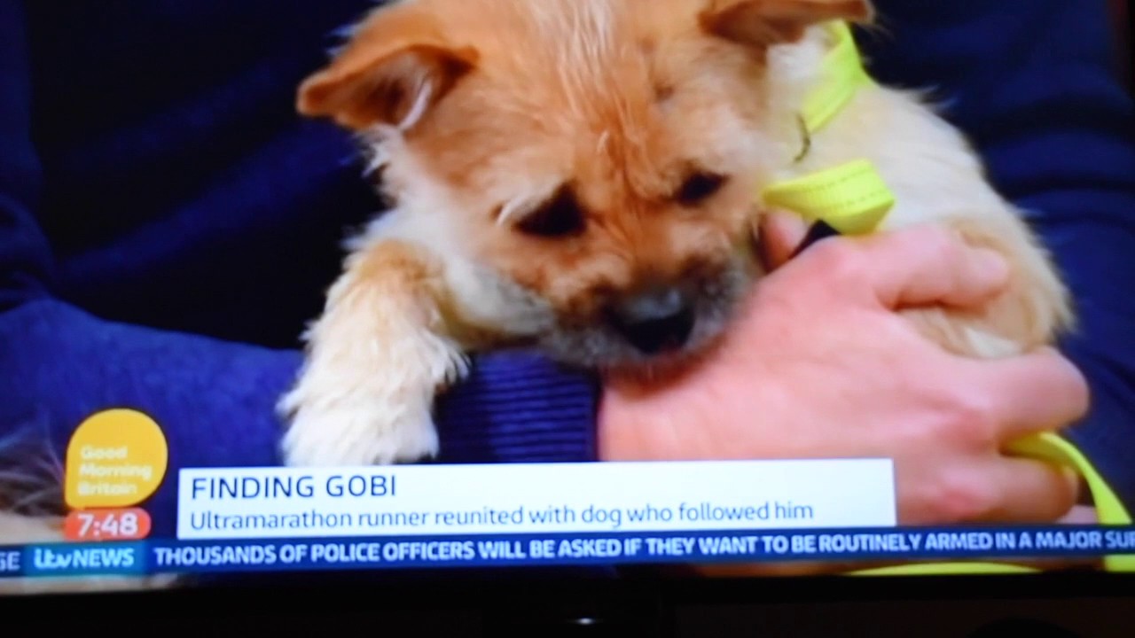Good Morning Britain - Dion & Gobi 9th January 2016