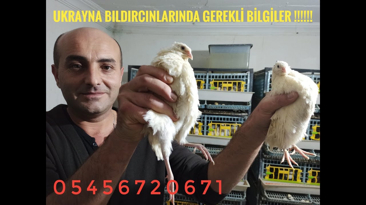 UKRAYNA BILDIRCINI (YETİŞTİRME ESAS VE USULLERİ)