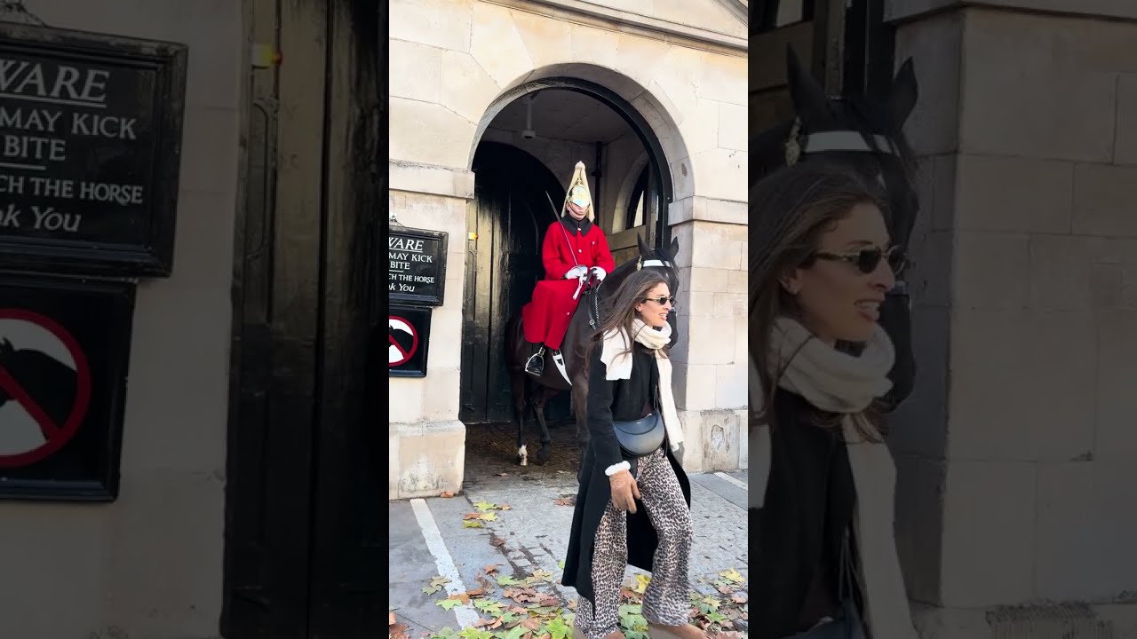 Tourists Can’t Get Enough of Photos with the Royal Horses 🐎📸