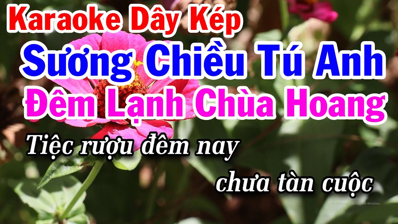 Karaoke Sương Chiều Tú Anh Dây Kép - Trích Đêm Lạnh Chùa Hoang