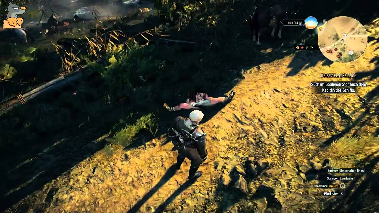witcher3 LP56