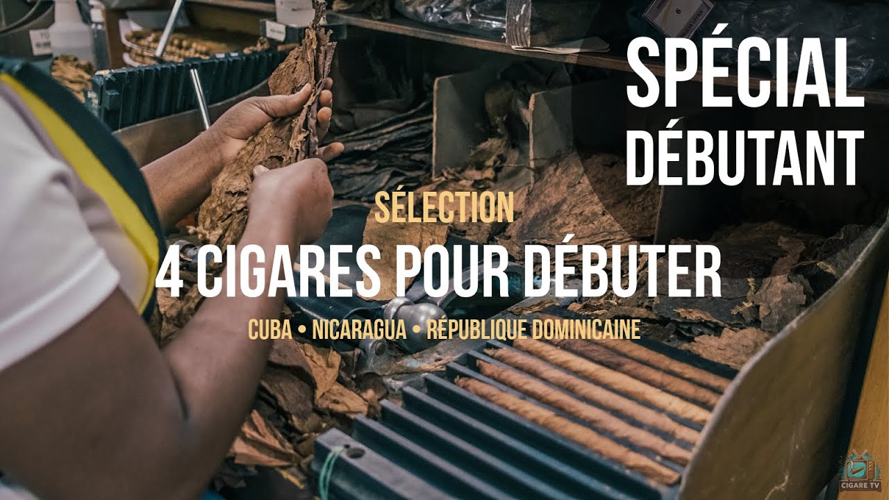 4 Cigares pour d&eacute;buter 🔥🆕🛍️