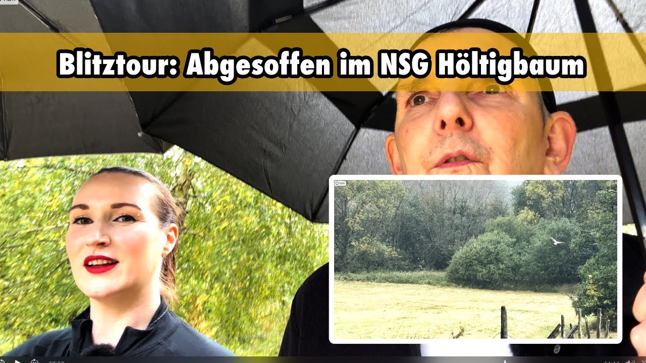 Blitztour: Abgesoffen im  NSG Hamburg Höltigbaum