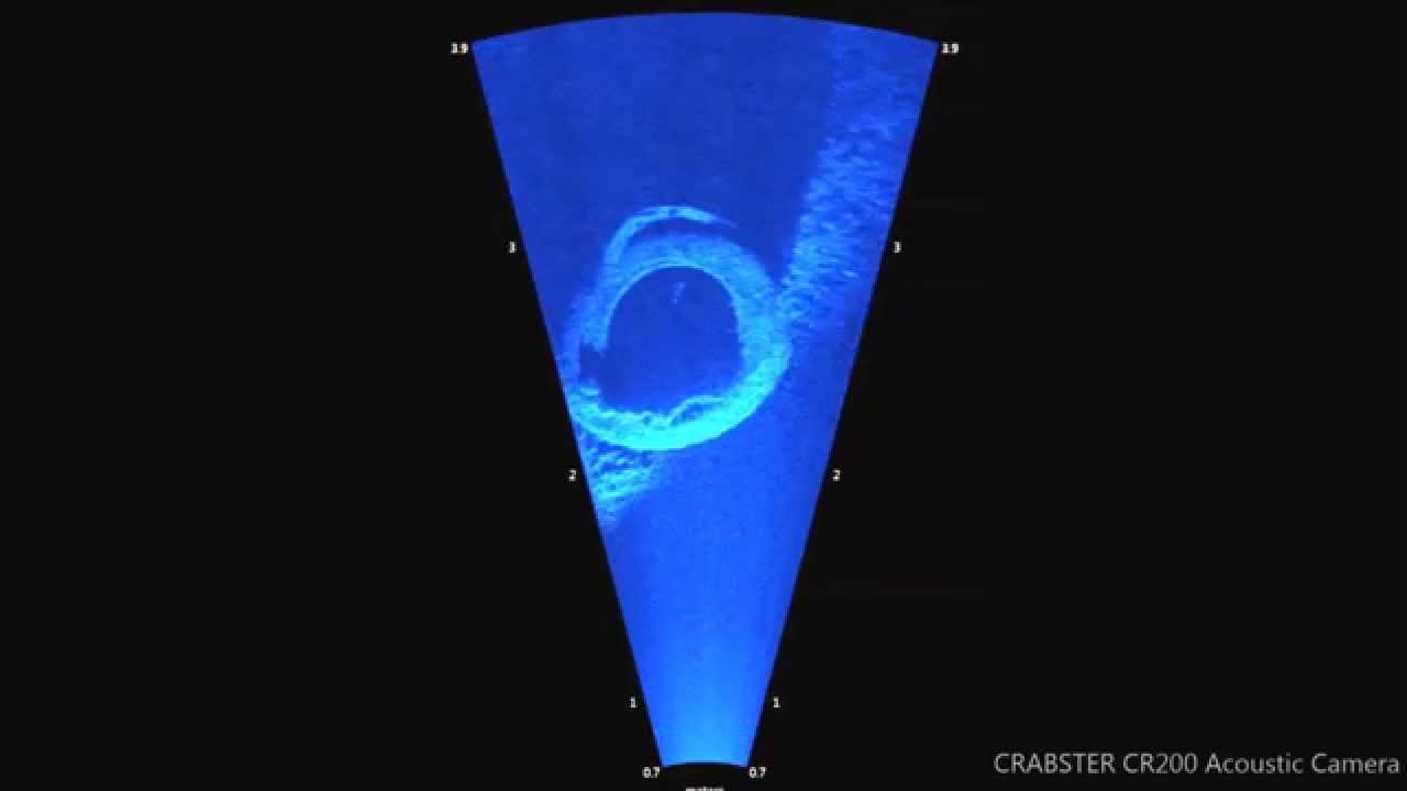 CRABSTER CR200 : fishes detected by acoustic camera