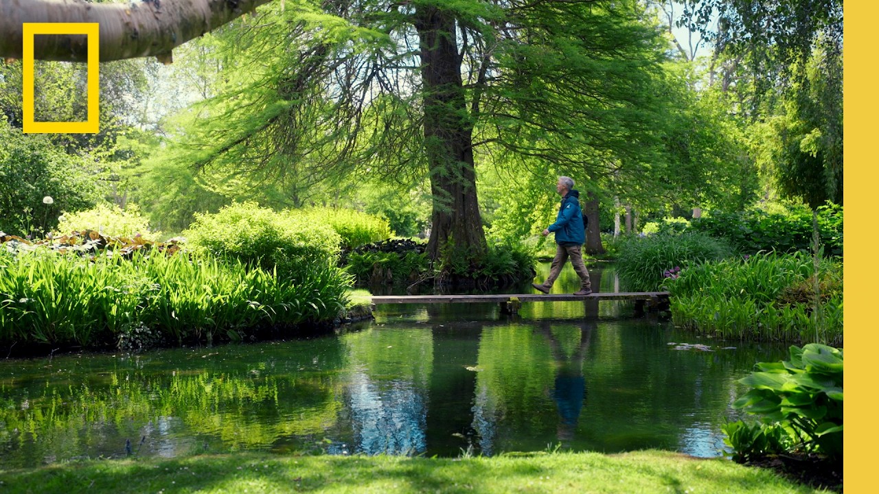 Exploring Regenerative Farming Practices at Waitrose Farms | National Geographic