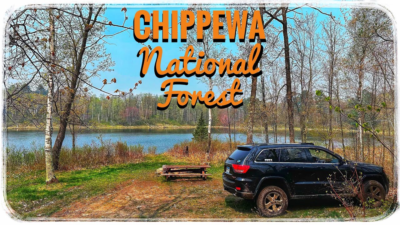 Chippewa National Forest: Secluded Lakeside Camping