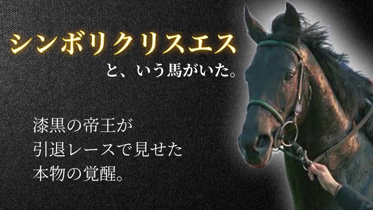 【漆黒の帝王】シンボリクリスエス🐎