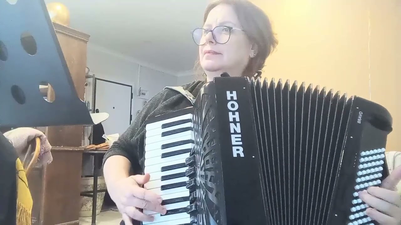 Bana Ellerini  Ver (Pervane/Özdemir Erdoğan)#akordiyon #akordeon #music #cover 