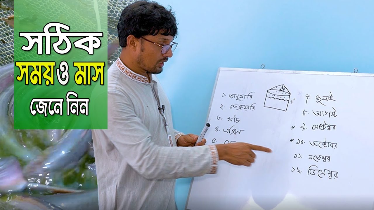 বায়োফ্লক পদ্ধতিতে মাছ চাষের সঠিক সময় ও মাস জেনে নিন। মাছের মূল্য বেশী পাওয়ার। কবির ভাইয়ের পরার্মশ