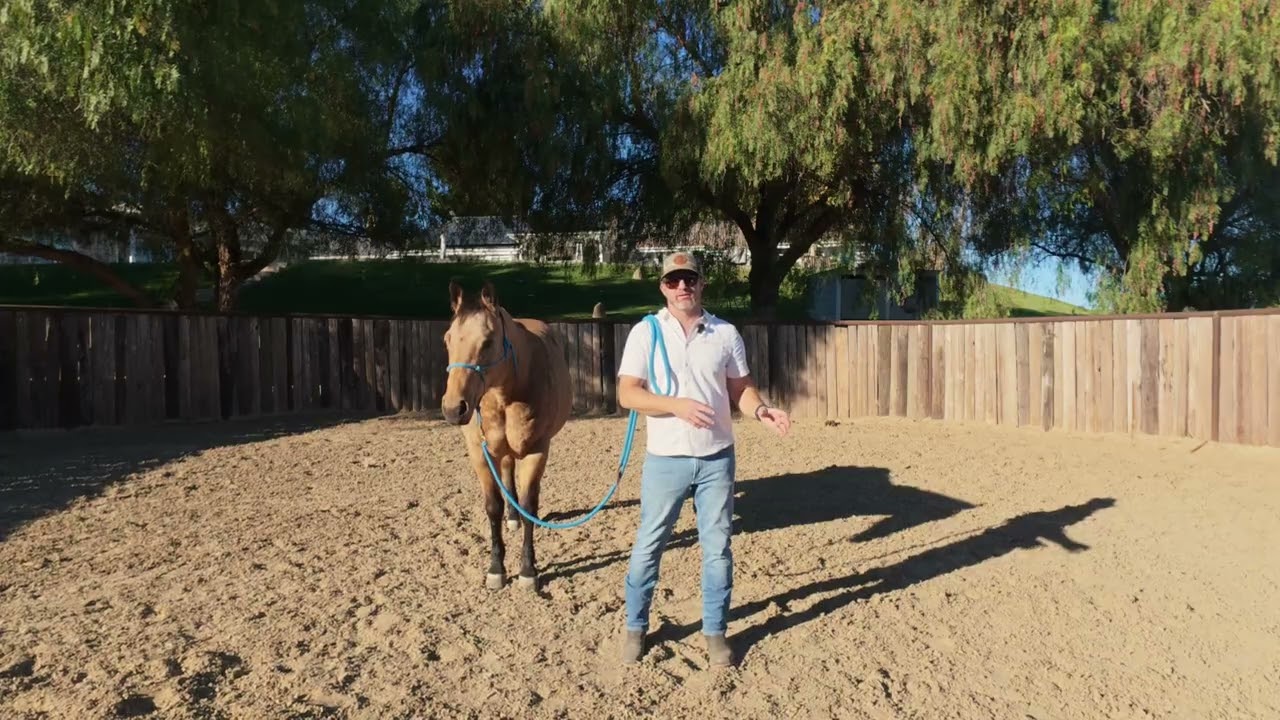 SUCCESS COMES FROM MATCHING THE RIGHT HORSE TO THE RIGHT JOB