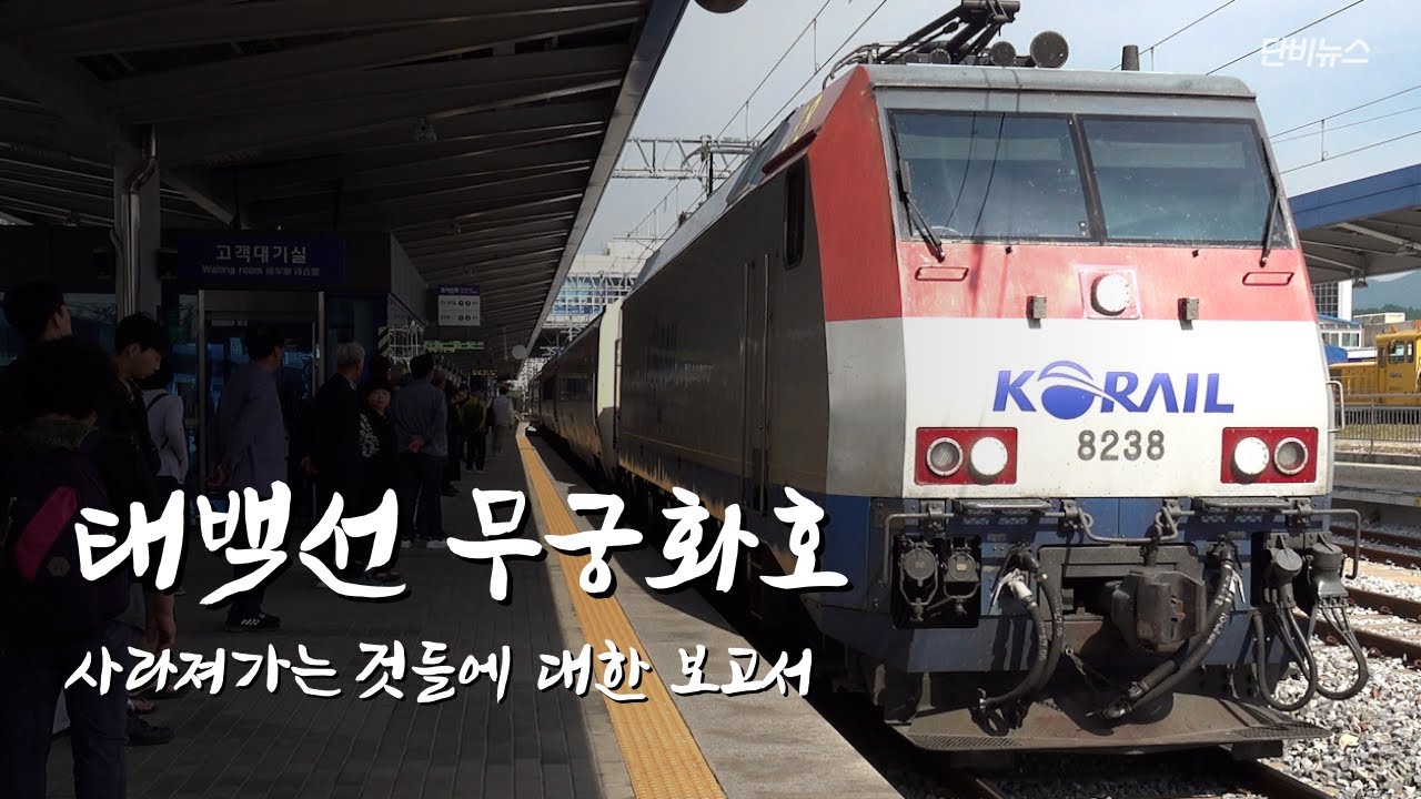 [긴다] 석탄 따라 104km, 변해가는 풍경과 기억 속에서 느리게 달리는 기차 | 태백선
