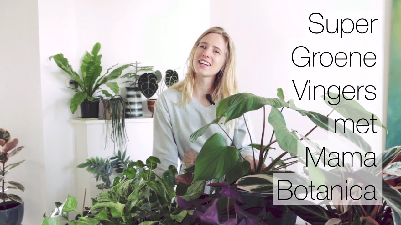 Super Groene Vingers met Mama Botanica! 🌵