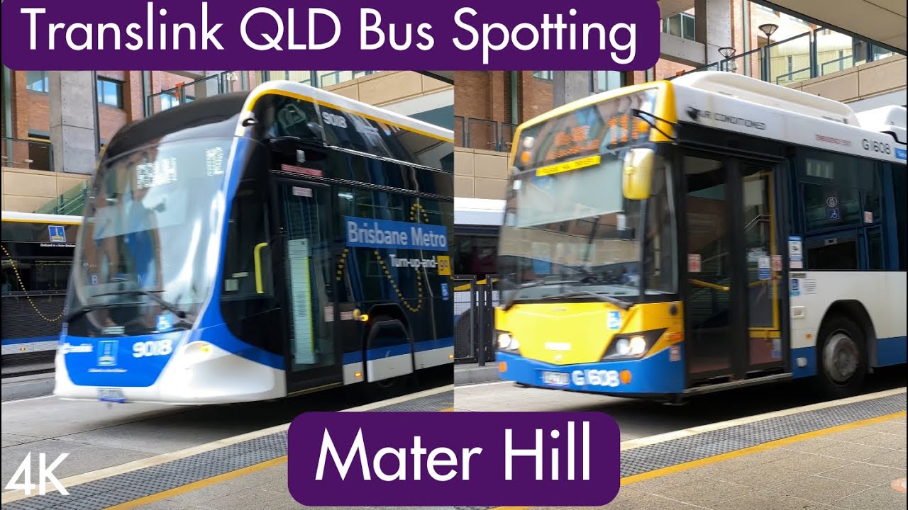 Translink QLD Bus Spotting - Mater Hill