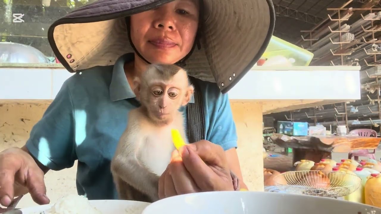 Mary eats grilled fish #animals #mary#monkey #asmr