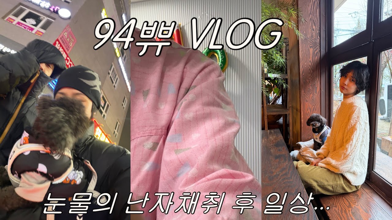 VLOG | 시험관1차 난자채취, 동결이식준비, 평택 신혼부부 일상,1차 난자채취 결과, 94년생 평택시험관, 난임부부 브이로그