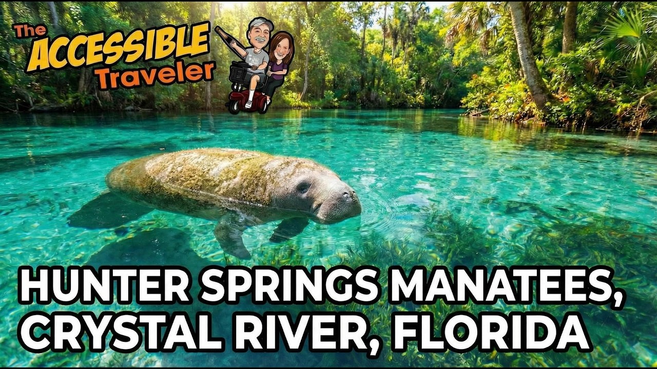 Swimming With Manatees in Crystal River Florida — On a Mobility Scooter!