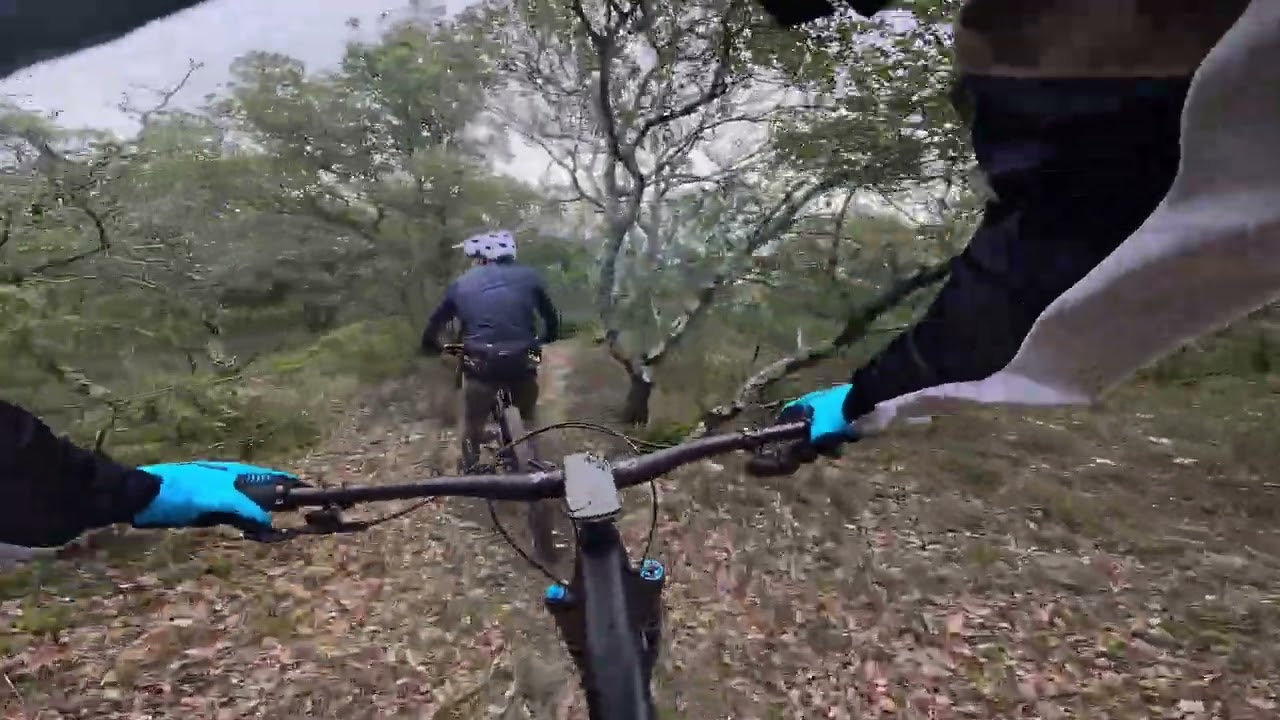 sortie club, découverte de trail