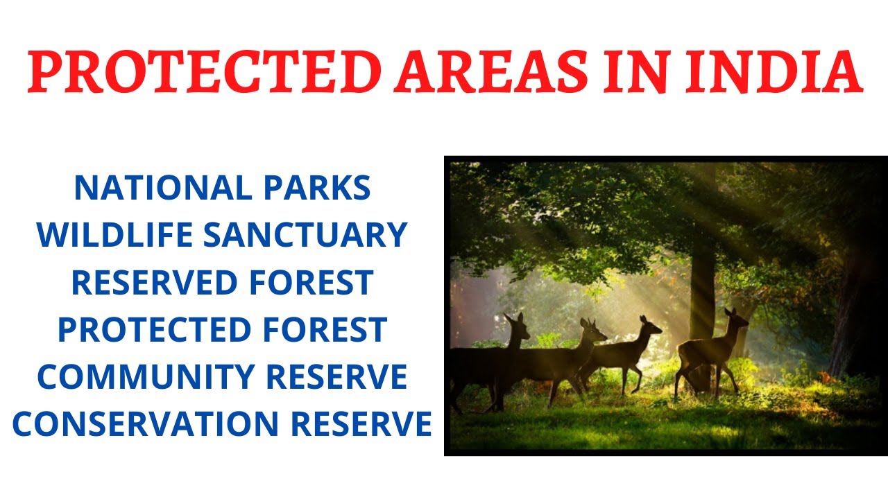 National Park, Wildlife Sanctuary, Protected & Reserved Forests, Community & Conservation Reserves