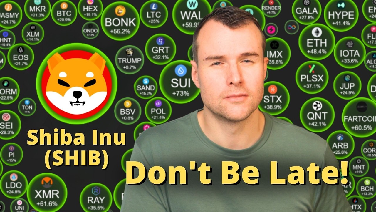 ⚠ Betting Against Shiba Inu Is Risky - Shib Crypto Analysis