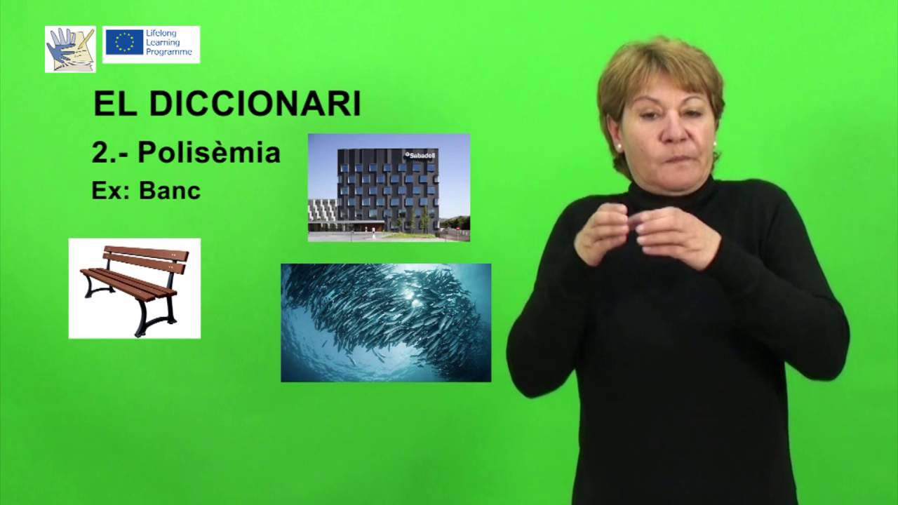 DEAFLI LSC-EL DICCIONARI