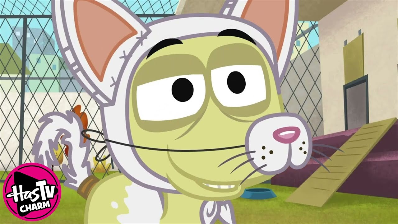 Pound Puppies | Kennel Kittens Return | Season 1 ✨ HasTV Charm