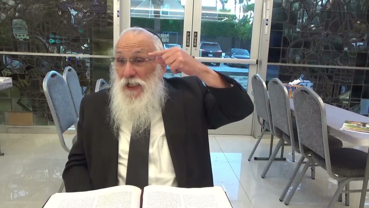 How to Experience the True Pleasure of Shabbat #3 | Daily Chassidus