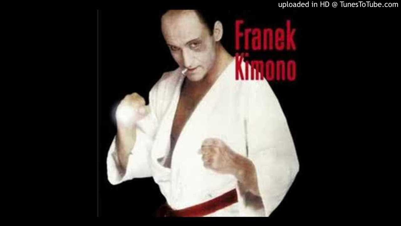 Franek Kimono - King Bruce Lee Karate Mistrz (S&R Project Remix)