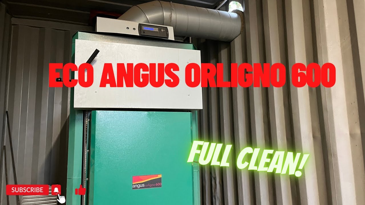 Day 42 - Eco Angus Orligno 600 FULL CLEAN