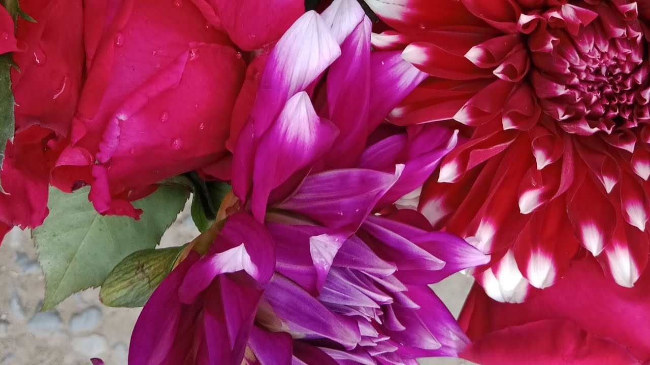 আসতাগফিরুল্লাহ আসতাগফিরুল্লাহ আসতাগফিরুল্লাহ