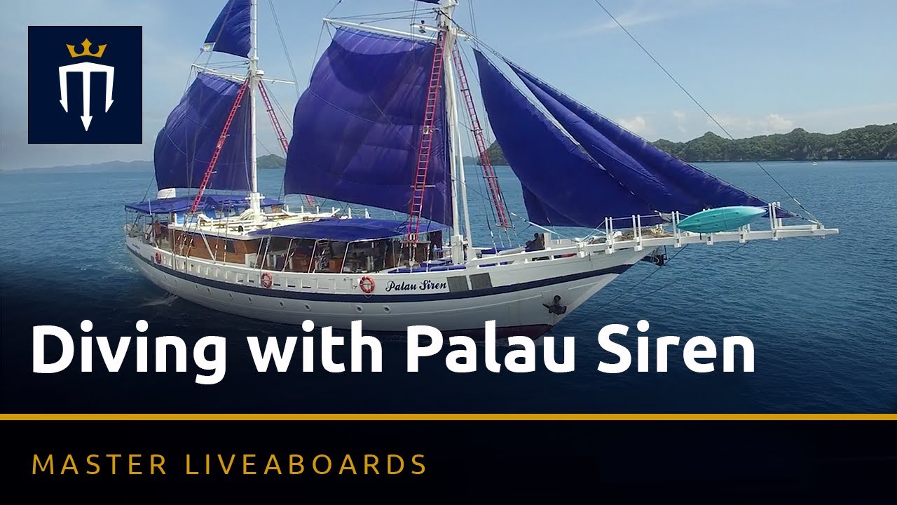 Diving with Palau Siren   Full Promo