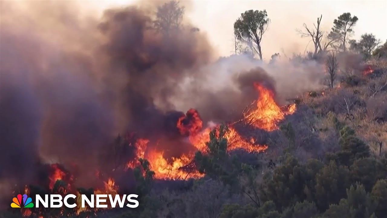 Sicily battles wildfires, its history of Mafia sparking flames resurfaces