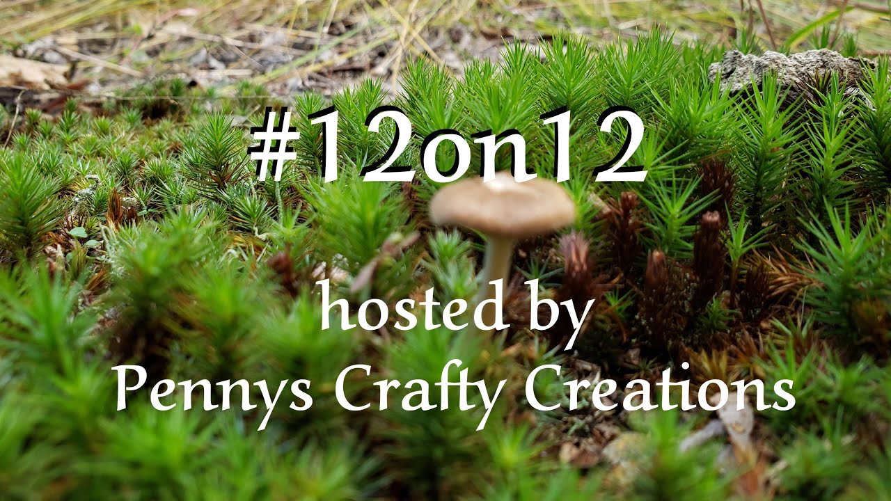 #12on12