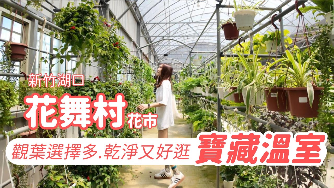 新竹湖口-花舞村花市-觀葉選擇多.環境乾淨.資材盆器超級多!!!