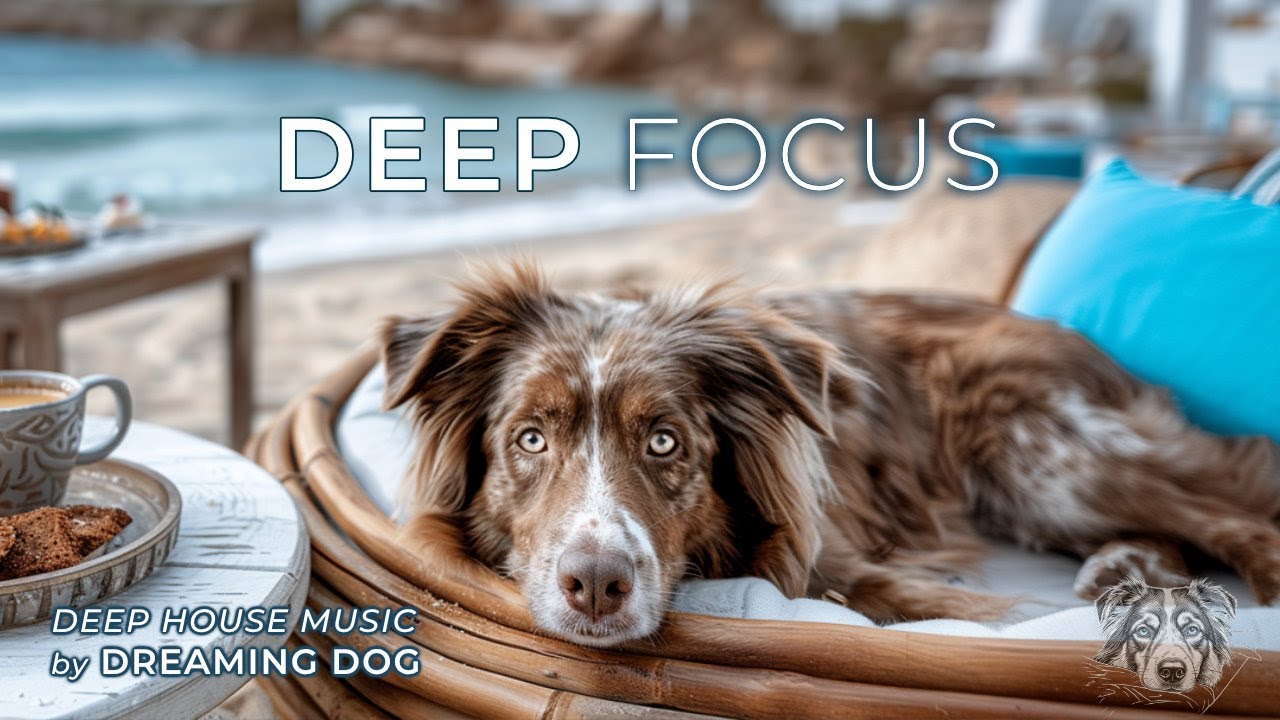 Deep Focus | Melodic Deep House - No Vocals | Music for Work, Study, Coding, Writing & Productivity
