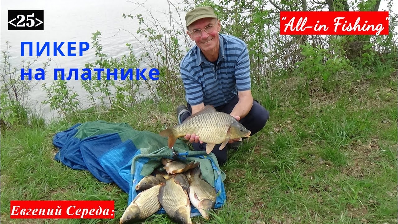 Пикер на платнике. 