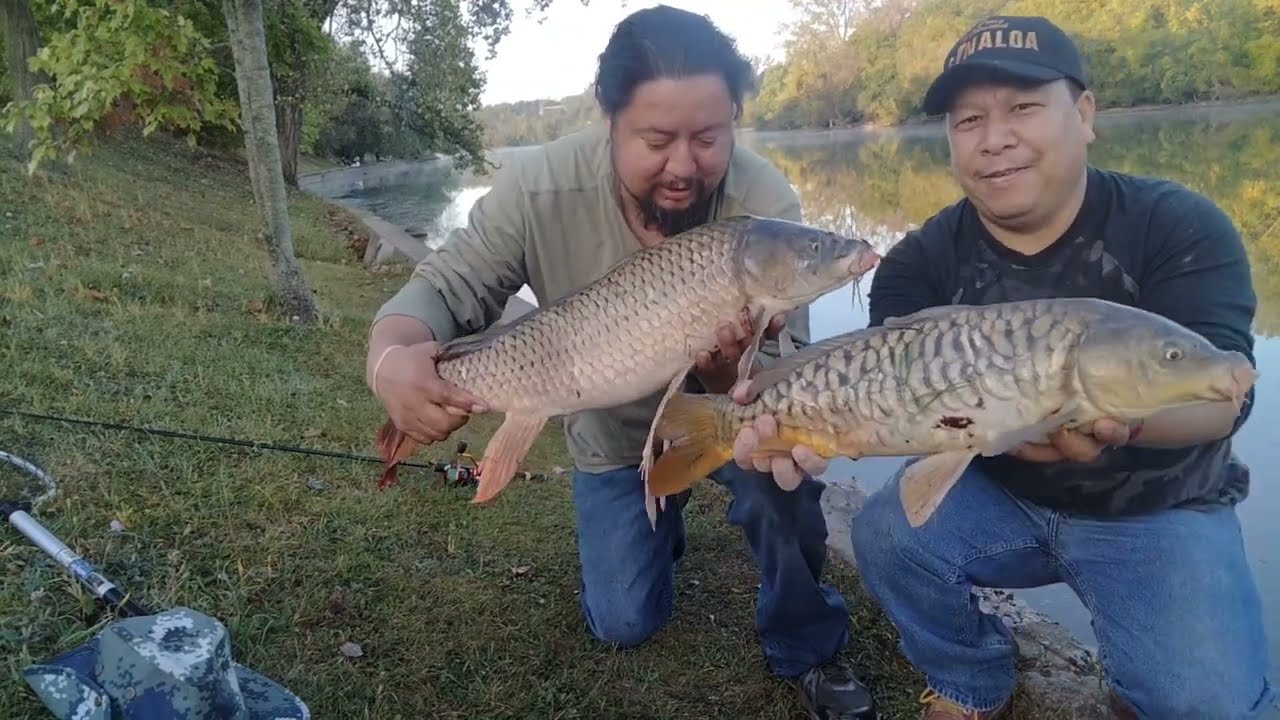 COMO HACER MASA PARA PESCAR CARPAS.Y 2 CAPTURAS CARPA MARIPOSA O CARPA DRAGON Y CARPA ESCAMA GRANDE