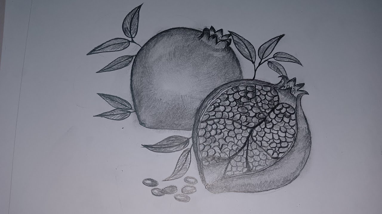 পেন্সিল দিয়ে ডালিম আঁকার সহজ উপায়। How to draw a pomegranate with a pencil.