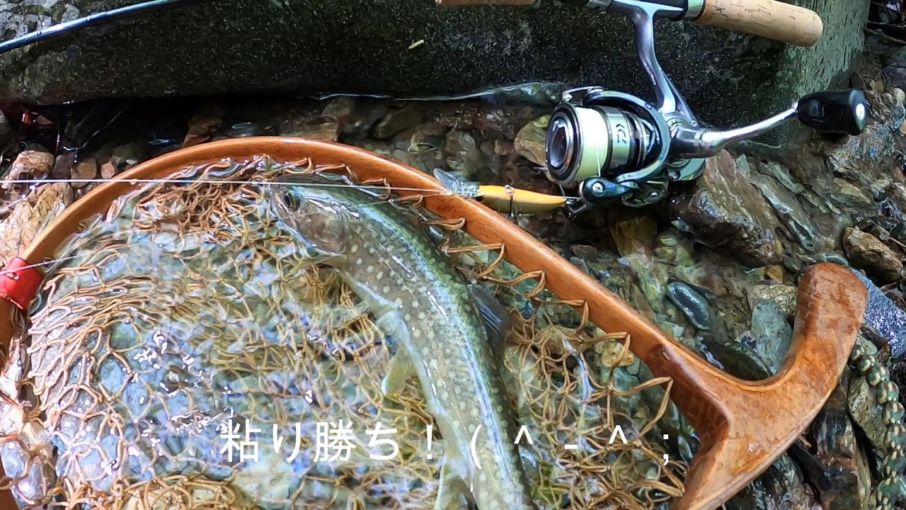 岩手県遠征／２０２５年５下旬