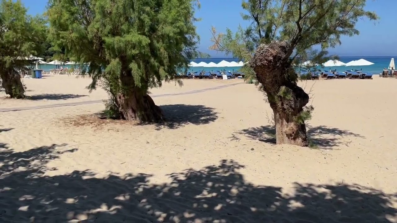 Kalogria Beach, Stoupa, Mani Peninsular, Greece #kalogria #stoupa #mani #beach #sunbeds