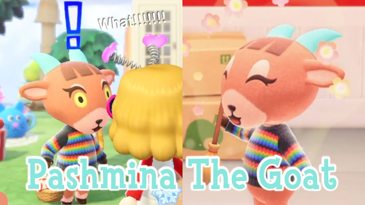 Pashmina The Goat Sisterly Villager Animal Crossing New Horizons ACNH