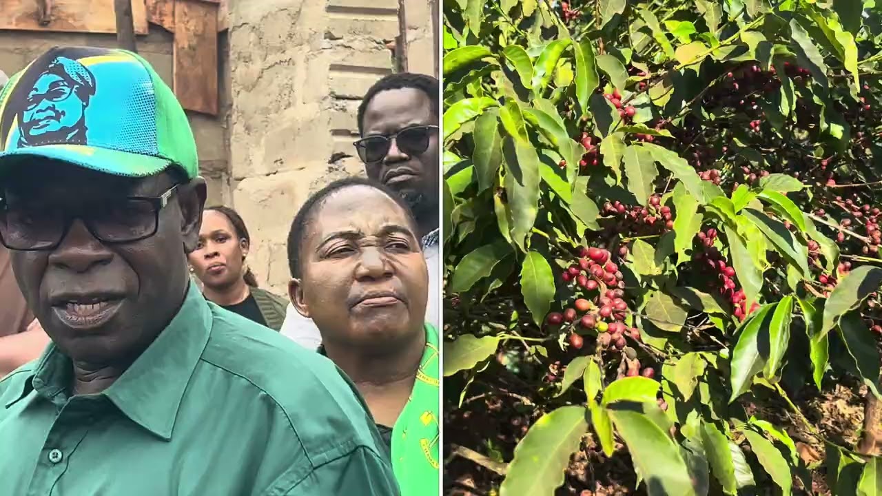 VIJANA WA MBINGA KAHAWA INALIPA 